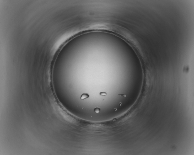 X0000112051328200908041141
