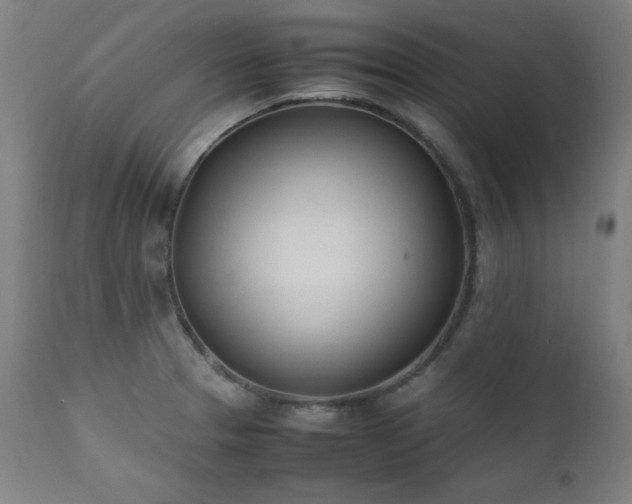 X0000112051329200908041141