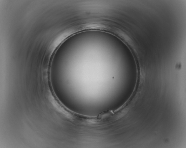 X0000112051330200908041141