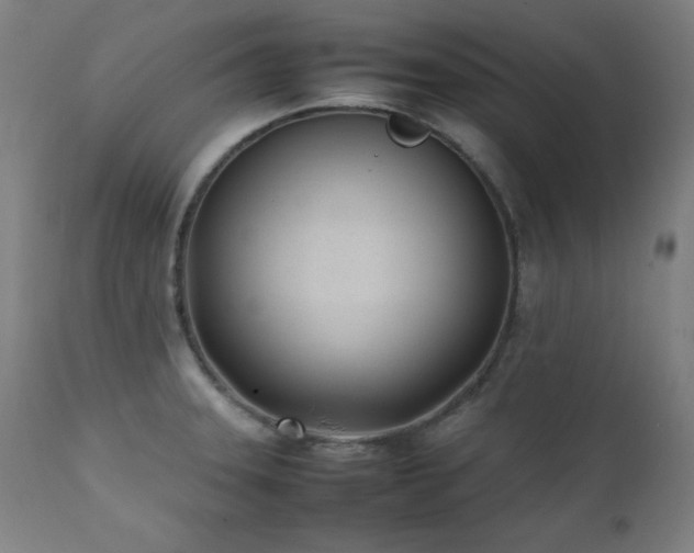 X0000112051331200908041141