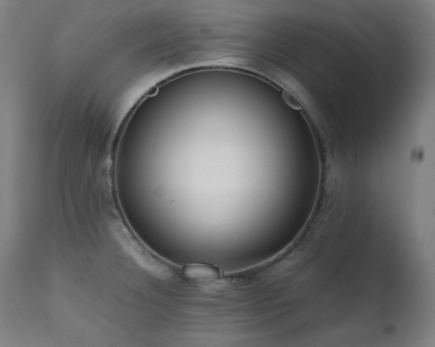 X0000112051332200908041141