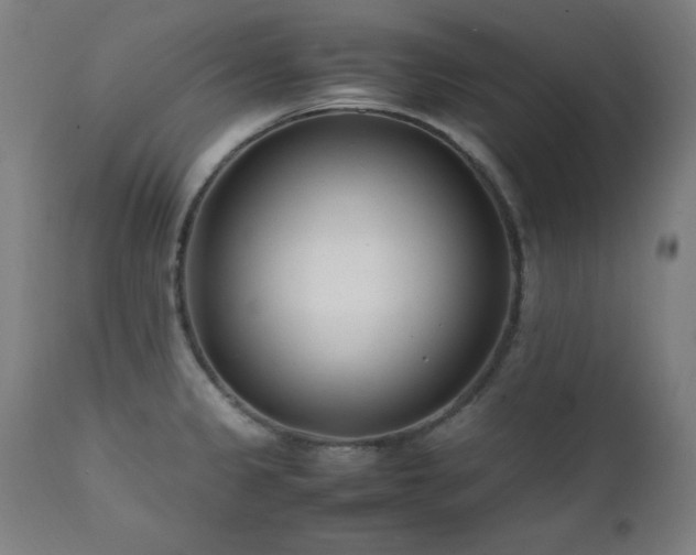 X0000112051333200908041141