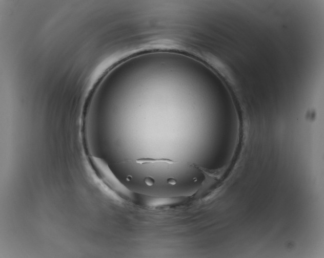 X0000112051334200908041141