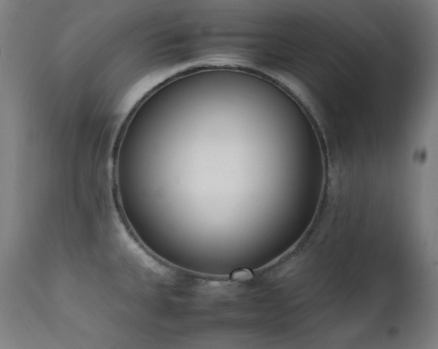 X0000112051335200908041142