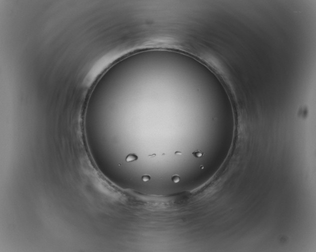 X0000112051336200908041142