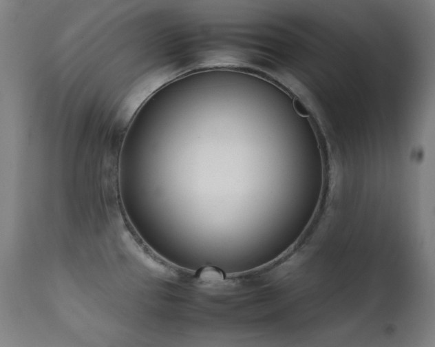 X0000112051337200908041142