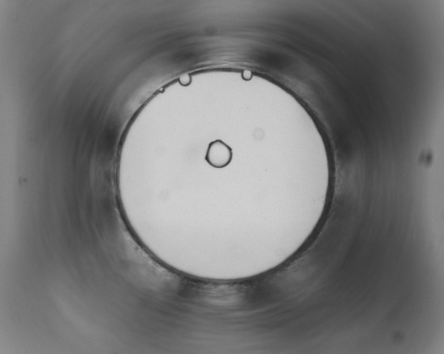 X0000112051338200908041142