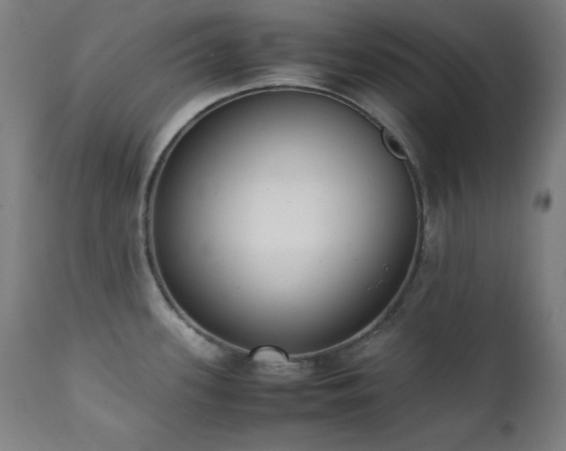 X0000112051339200908041142