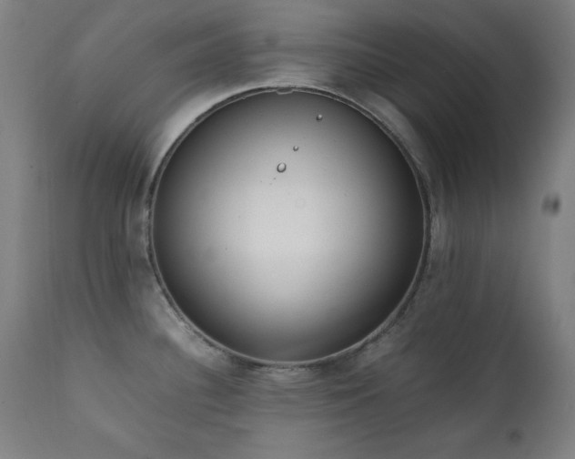 X0000112051340200908041142