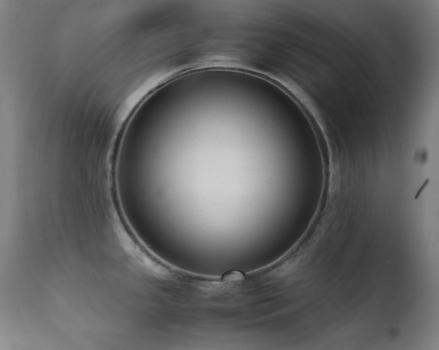 X0000112051341200908041142