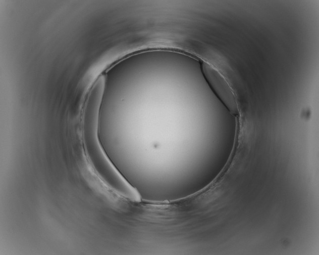X0000112051342200908041142