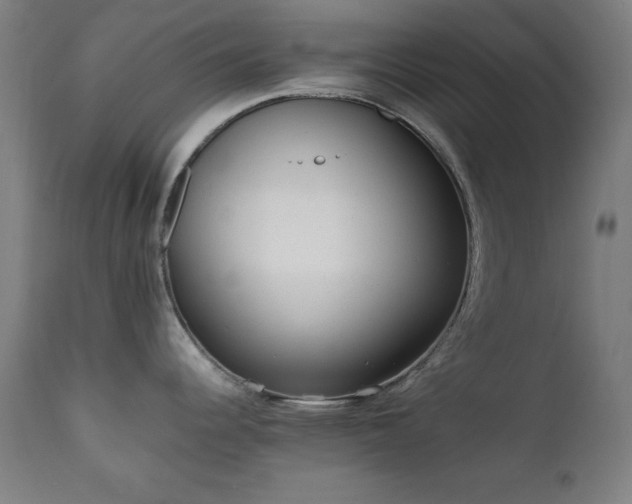 X0000112051344200908041142