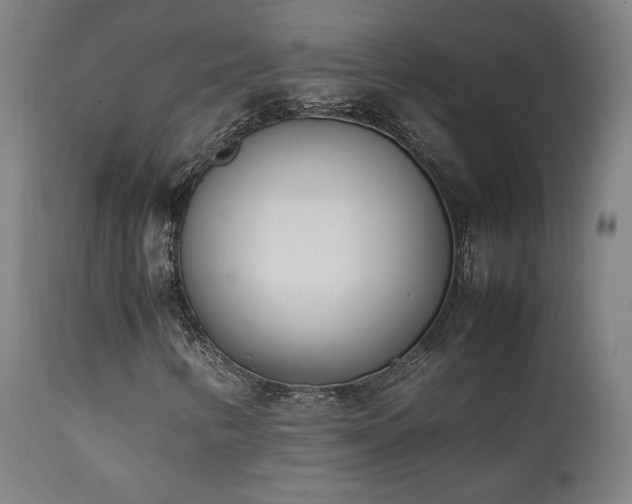 X0000112051346200908041141