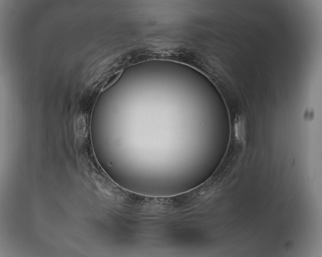 X0000112051347200908041141