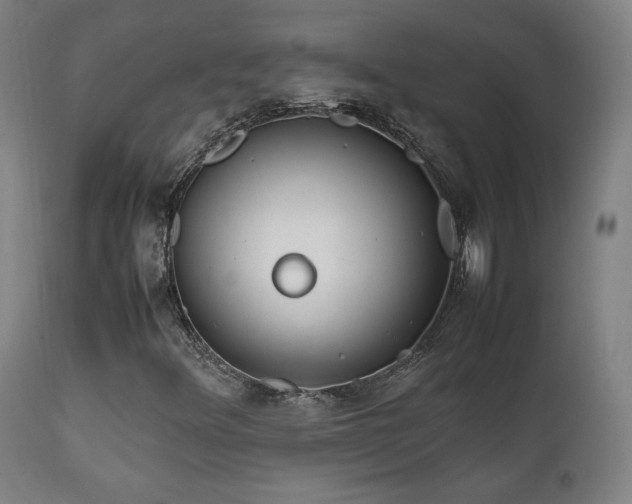 X0000112051348200908041141
