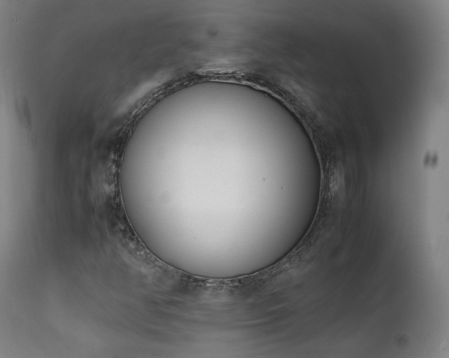 X0000112051350200908041141