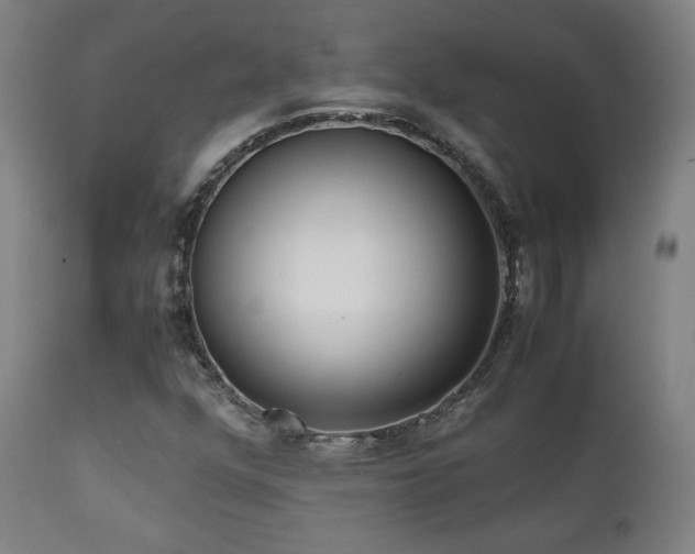 X0000112051352200908041141