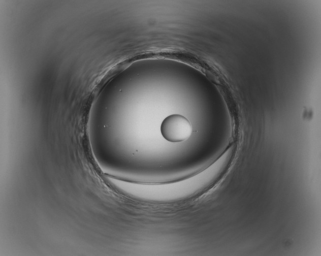 X0000112051353200908041141
