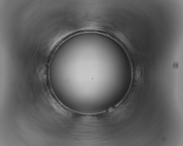 X0000112051356200908041141