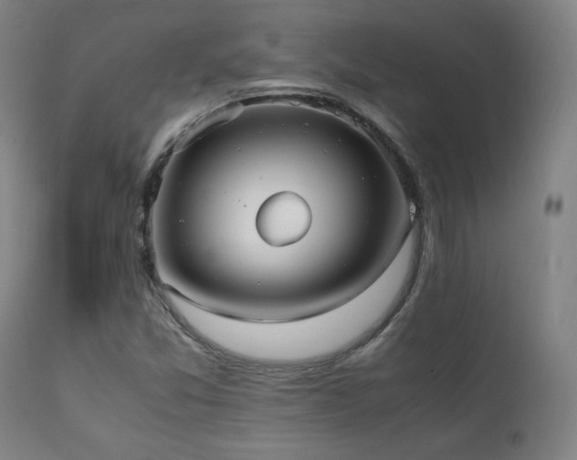 X0000112051357200908041141