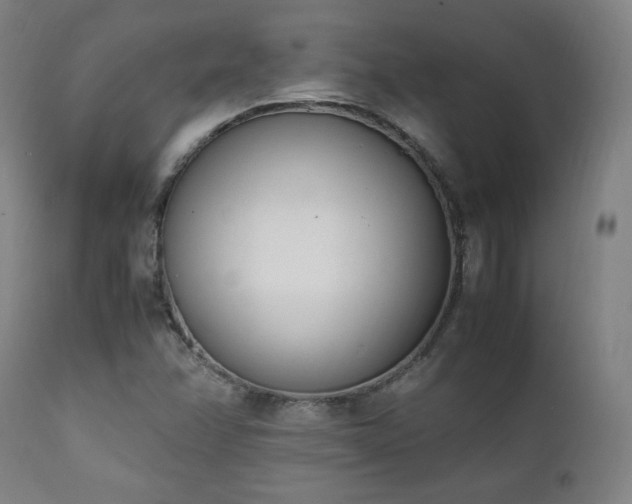 X0000112051358200908041141