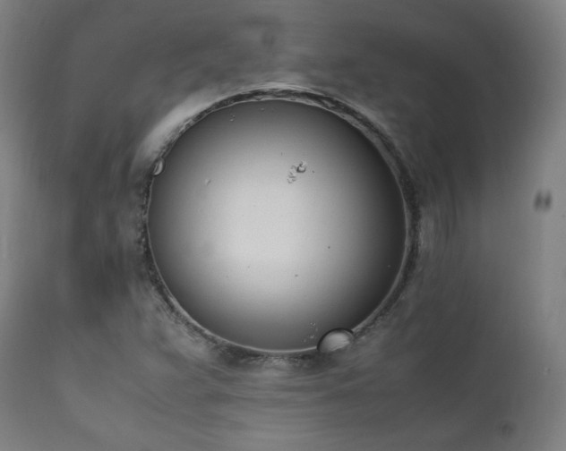 X0000112051359200908041141