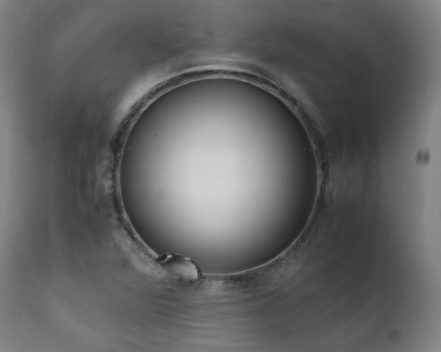 X0000112051360200908041141