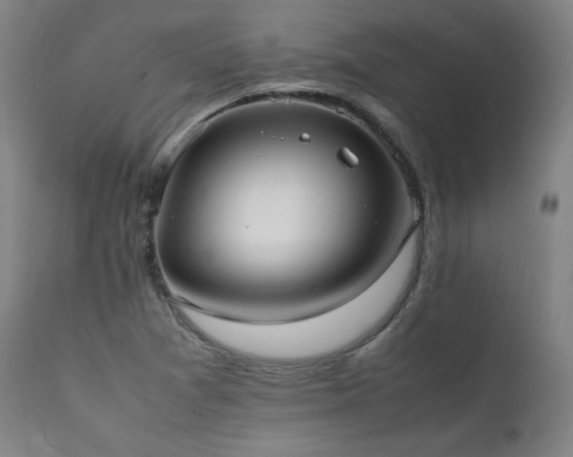 X0000112051361200908041141