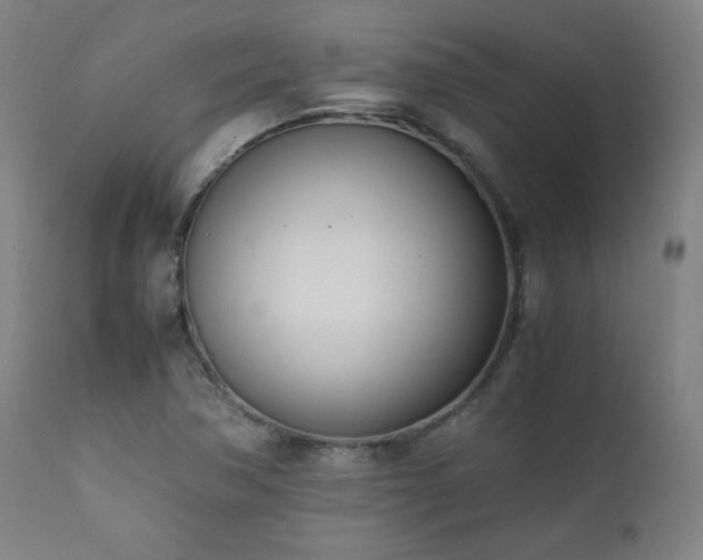 X0000112051362200908041141