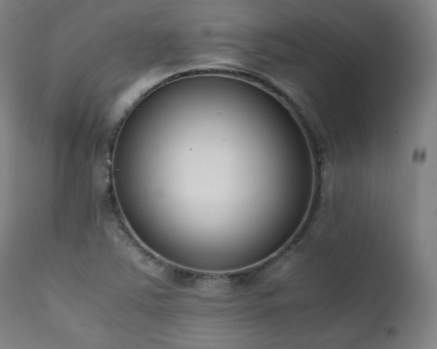 X0000112051363200908041141