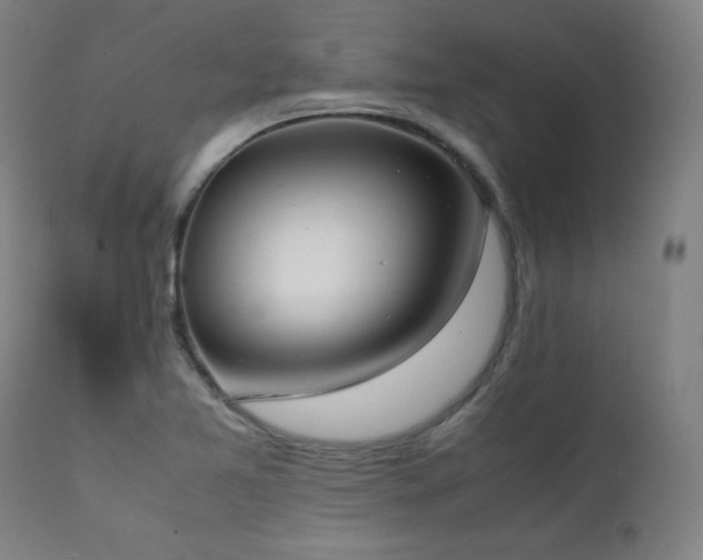 X0000112051365200908041141