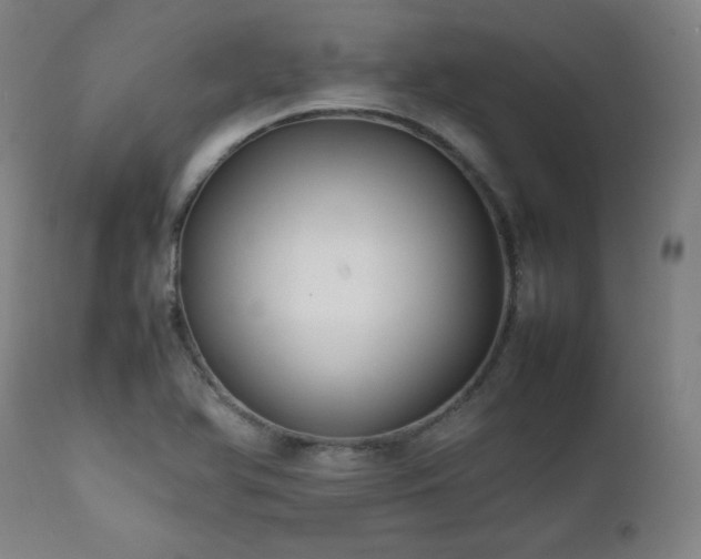 X0000112051366200908041141