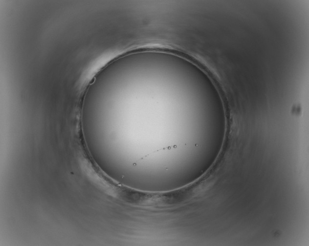 X0000112051367200908041141