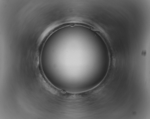 X0000112051368200908041141