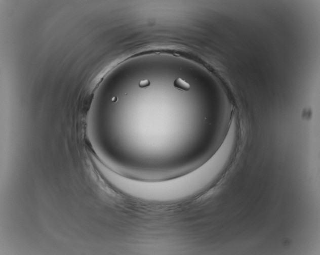 X0000112051369200908041141