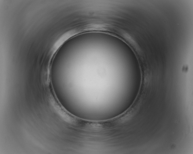 X0000112051370200908041141