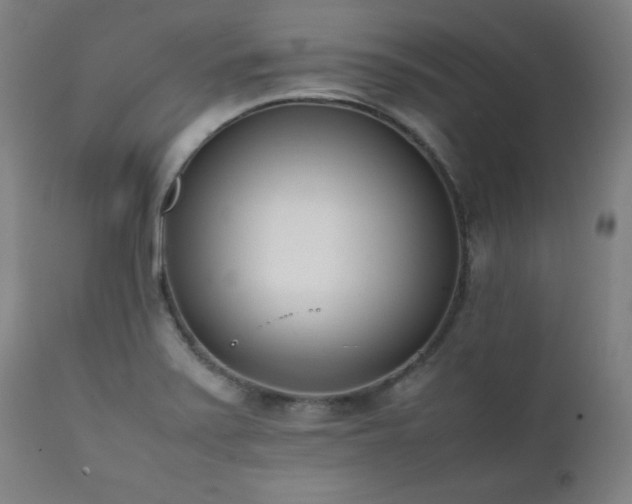 X0000112051371200908041141
