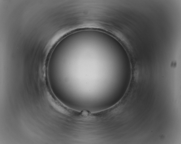 X0000112051372200908041141