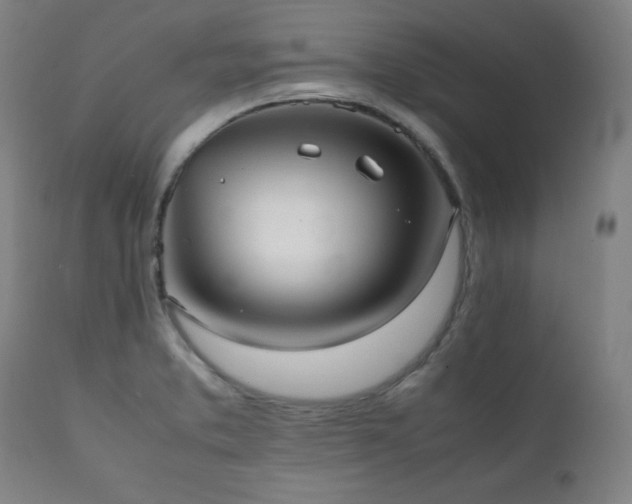 X0000112051373200908041141