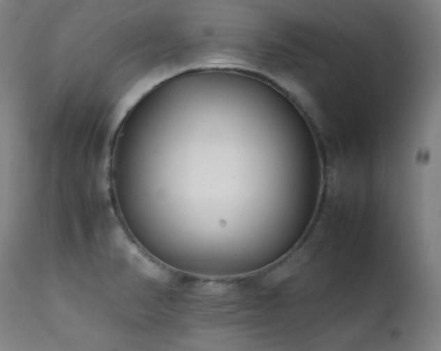 X0000112051374200908041141