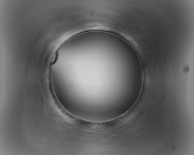X0000112051375200908041141