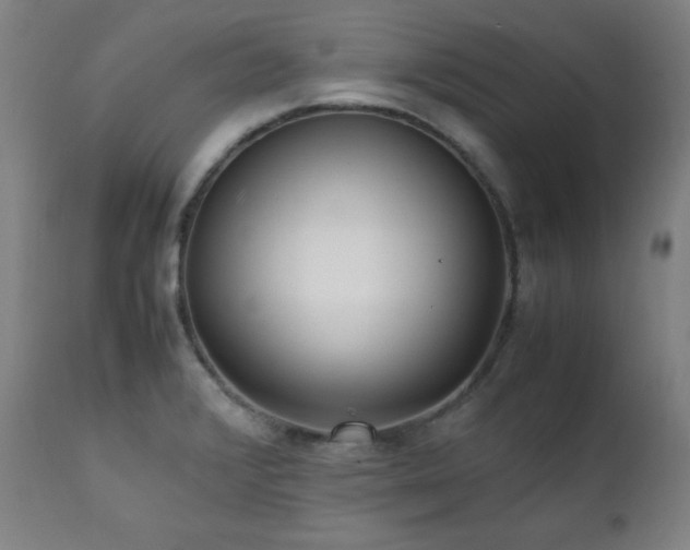 X0000112051376200908041141