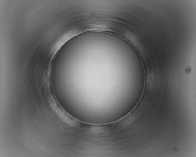 X0000112051378200908041141