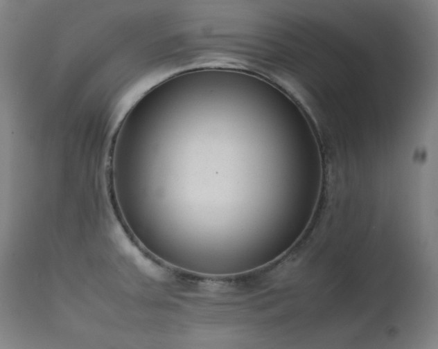 X0000112051379200908041141