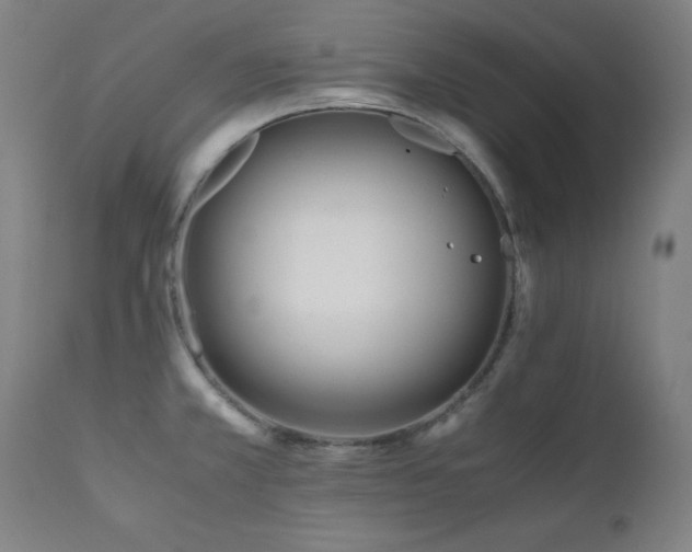 X0000112051381200908041140