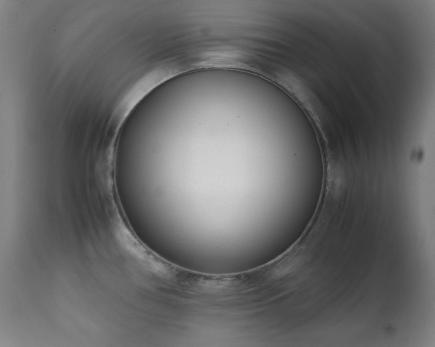 X0000112051386200908041140