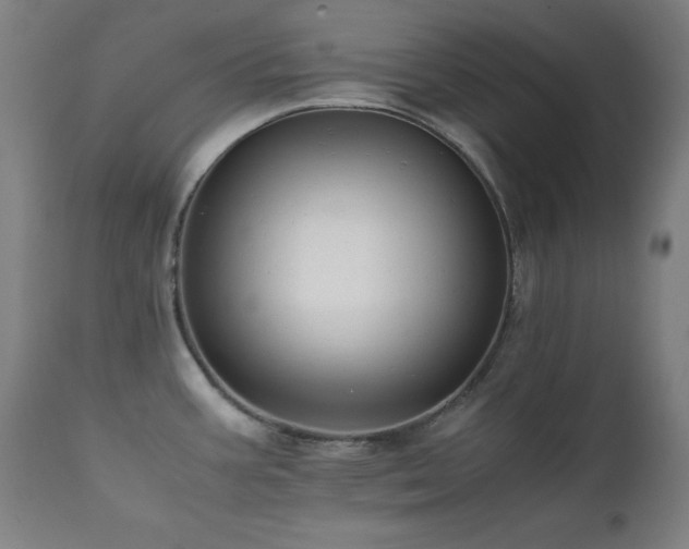 X0000112051387200908041140