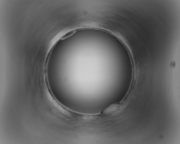 X0000112051389200908041140
