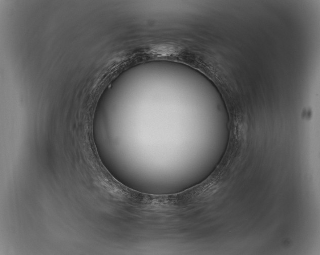X0000112051393200908041139