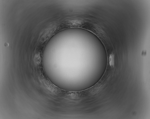 X0000112051395200908041139